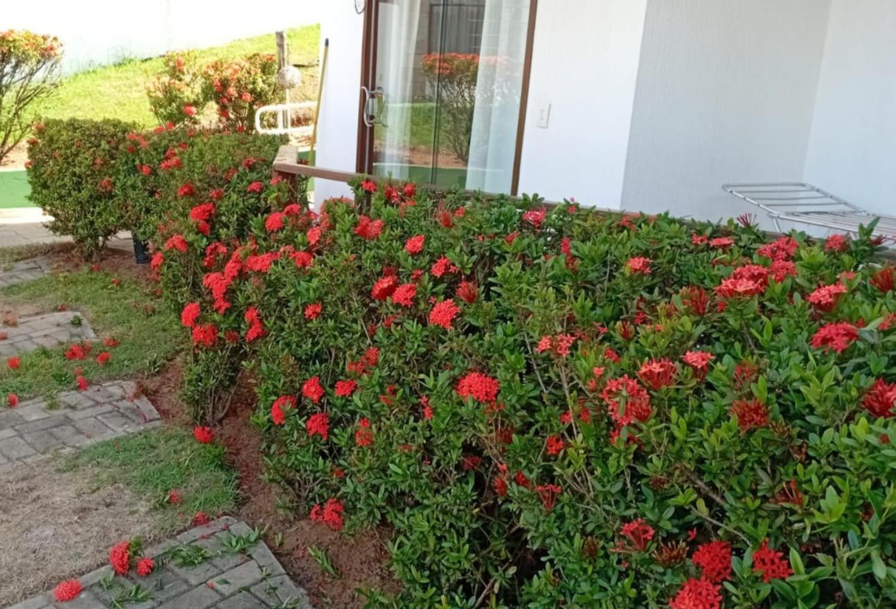 Flat Em Pipa - Brisas Do Amor Praia de Pipa Стая снимка